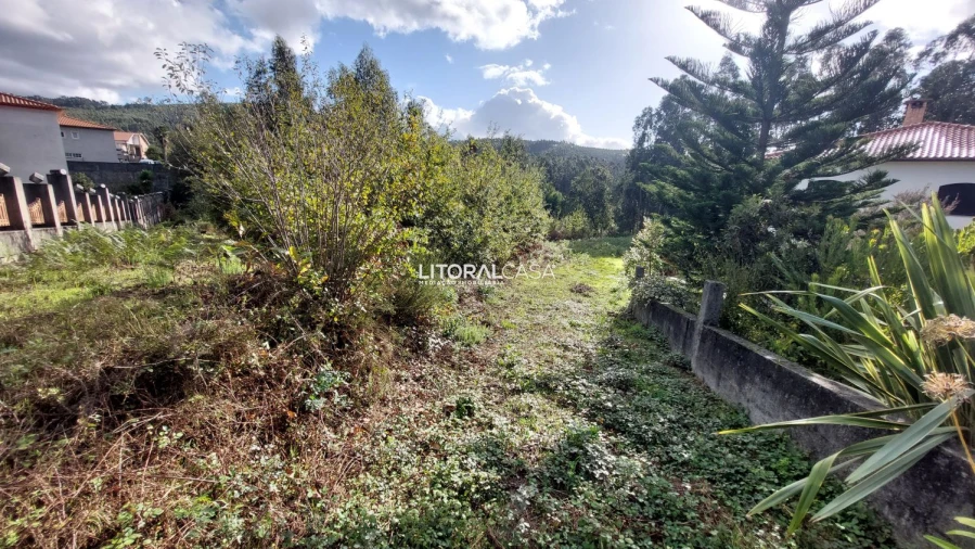 Terreno para Venda em Cedrim e Paradela Foto 7
