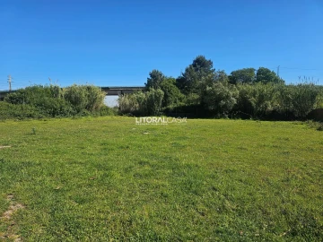 Terreno para Venda em Oliveirinha