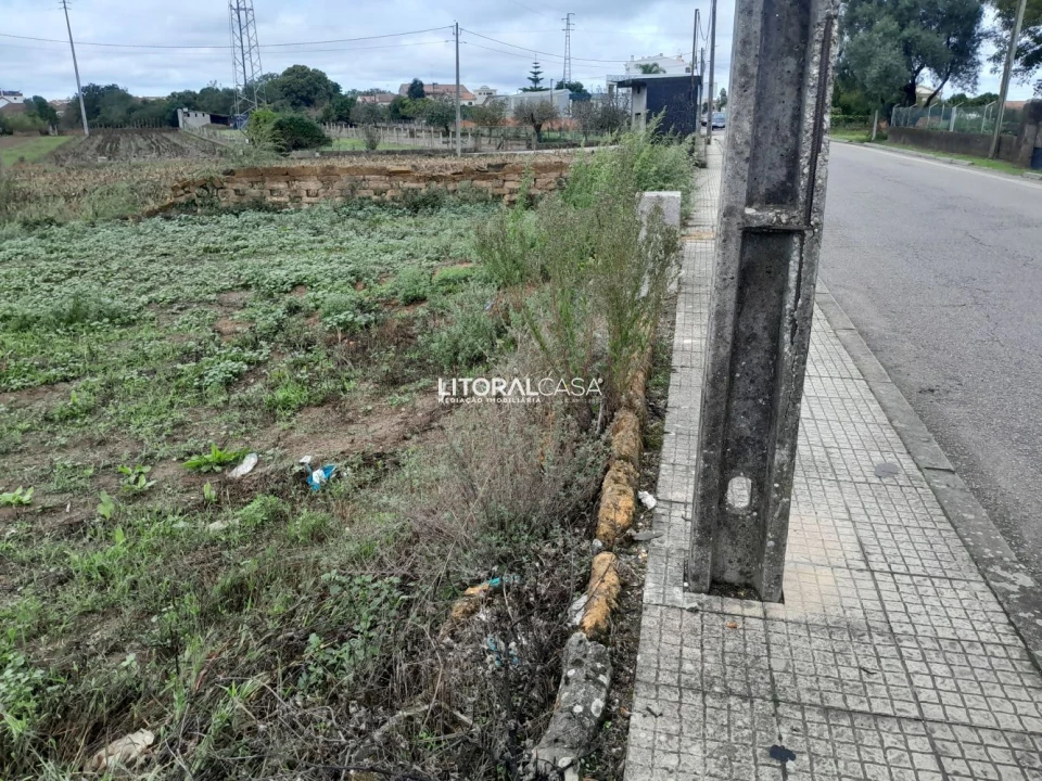 Terreno para Venda em Oiã Foto 4
