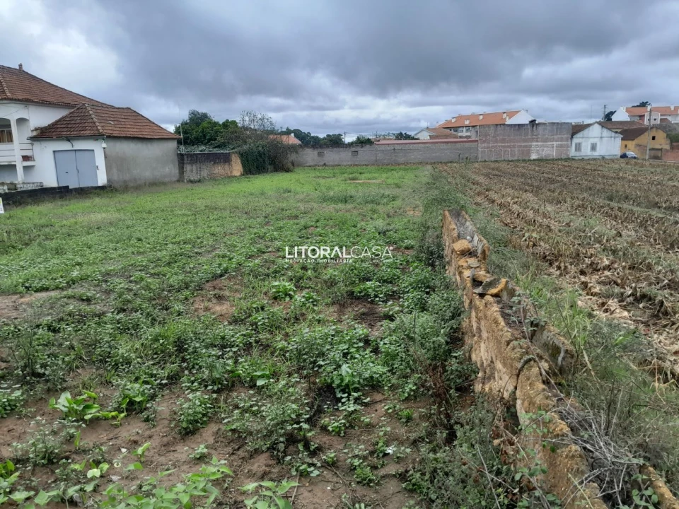 Terreno para Venda em Oiã Foto 2