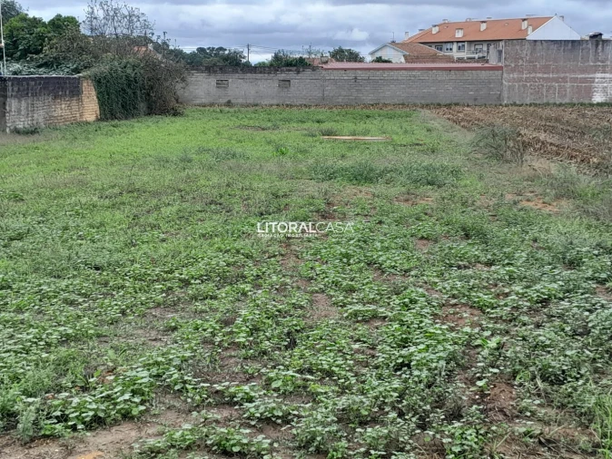 Terreno para Venda em Oiã Foto 6