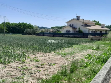 Terreno para Venda em Bustos, Troviscal e Mamarrosa