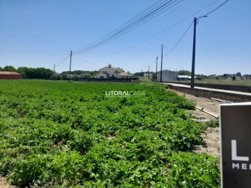 Terreno para Venda em Bustos, Troviscal e Mamarrosa