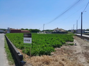 Terreno para Venda em Bustos, Troviscal e Mamarrosa