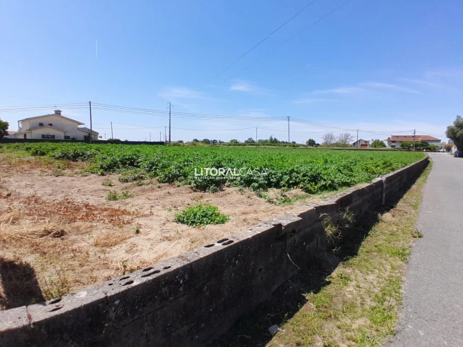 Terreno para Venda em Bustos, Troviscal e Mamarrosa Foto 8