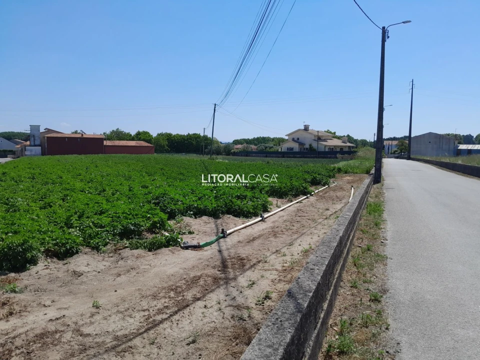 Terreno para Venda em Bustos, Troviscal e Mamarrosa Foto 11