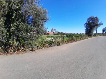 Terreno para Venda em Requeixo, Nossa Senhora de Fátima e Nariz