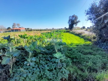 Terreno para Venda em Requeixo, Nossa Senhora de Fátima e Nariz