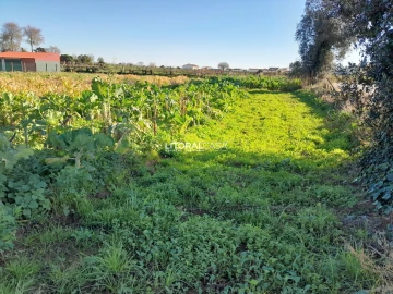 Terreno para Venda em Requeixo, Nossa Senhora de Fátima e Nariz