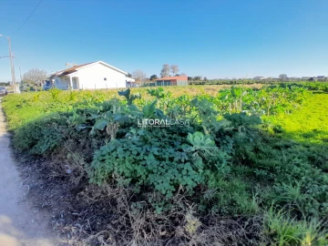 Terreno para Venda em Requeixo, Nossa Senhora de Fátima e Nariz