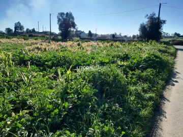 Terreno para Venda em Requeixo, Nossa Senhora de Fátima e Nariz
