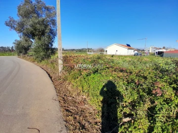Terreno para Venda em Requeixo, Nossa Senhora de Fátima e Nariz