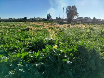 Terreno para Venda em Requeixo, Nossa Senhora de Fátima e Nariz