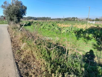 Terreno para Venda em Requeixo, Nossa Senhora de Fátima e Nariz
