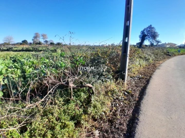 Terreno para Venda em Requeixo, Nossa Senhora de Fátima e Nariz