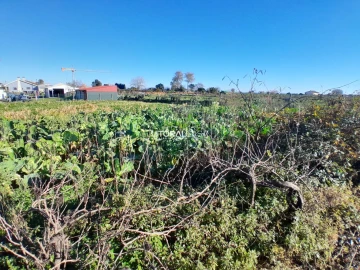 Terreno para Venda em Requeixo, Nossa Senhora de Fátima e Nariz