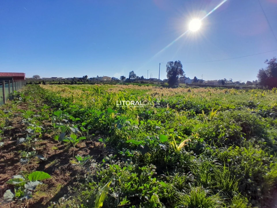 Terreno para Venda em Requeixo, Nossa Senhora de Fátima e Nariz Foto 14
