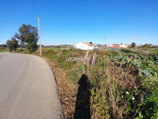 Terreno para Venda em Requeixo, Nossa Senhora de Fátima e Nariz Foto 7