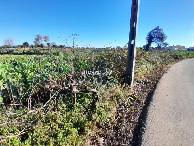 Terreno para Venda em Requeixo, Nossa Senhora de Fátima e Nariz Foto 5