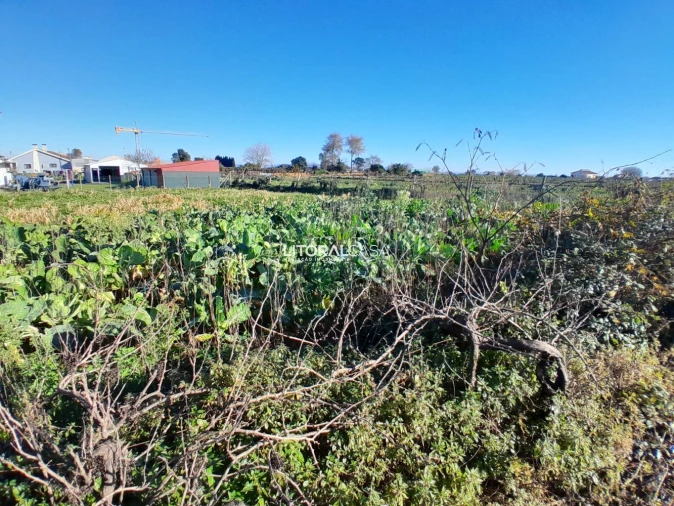 Terreno para Venda em Requeixo, Nossa Senhora de Fátima e Nariz Foto 6