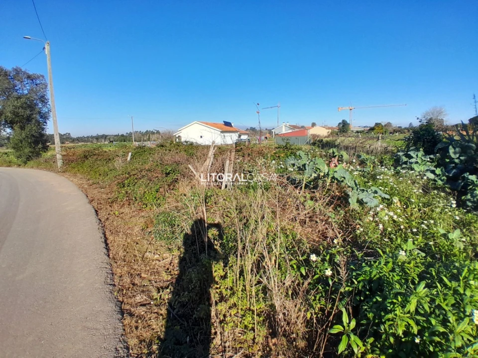 Terreno para Venda em Requeixo, Nossa Senhora de Fátima e Nariz Foto 8
