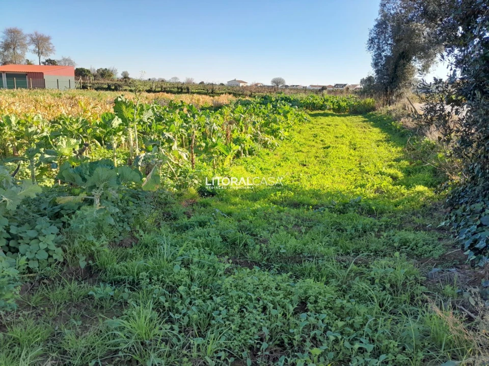 Terreno para Venda em Requeixo, Nossa Senhora de Fátima e Nariz Foto 3