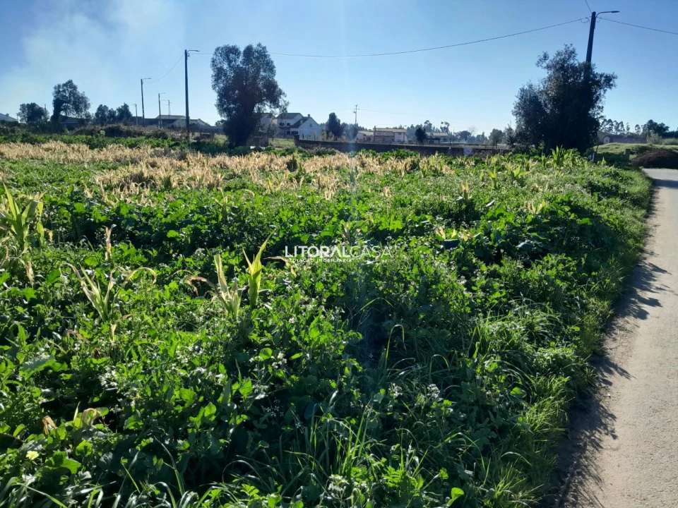Terreno para Venda em Requeixo, Nossa Senhora de Fátima e Nariz Foto 1