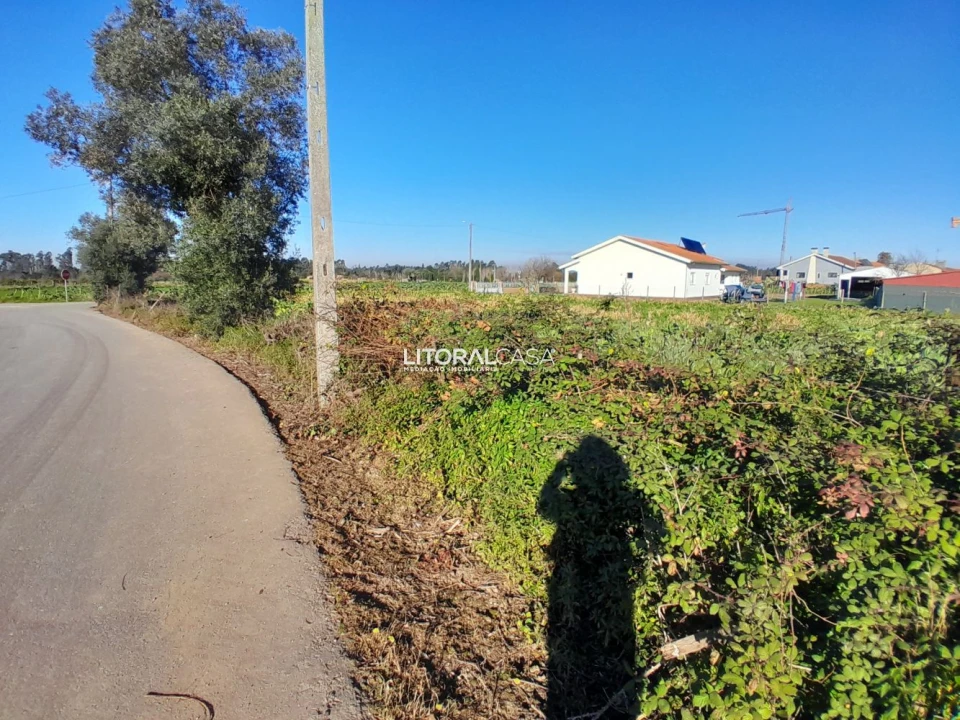 Terreno para Venda em Requeixo, Nossa Senhora de Fátima e Nariz Foto 9