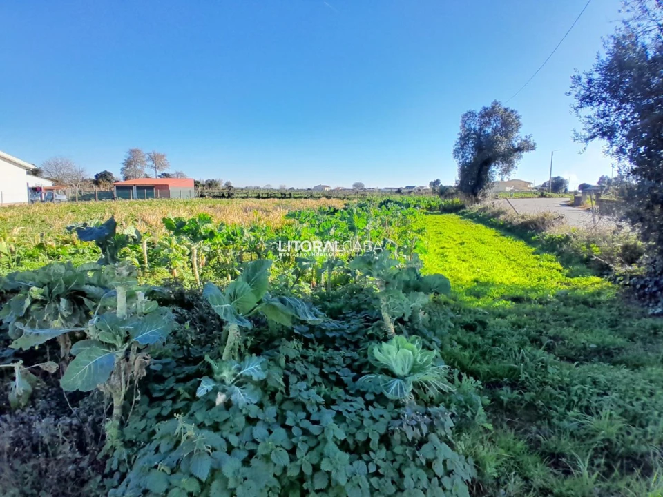 Terreno para Venda em Requeixo, Nossa Senhora de Fátima e Nariz Foto 12