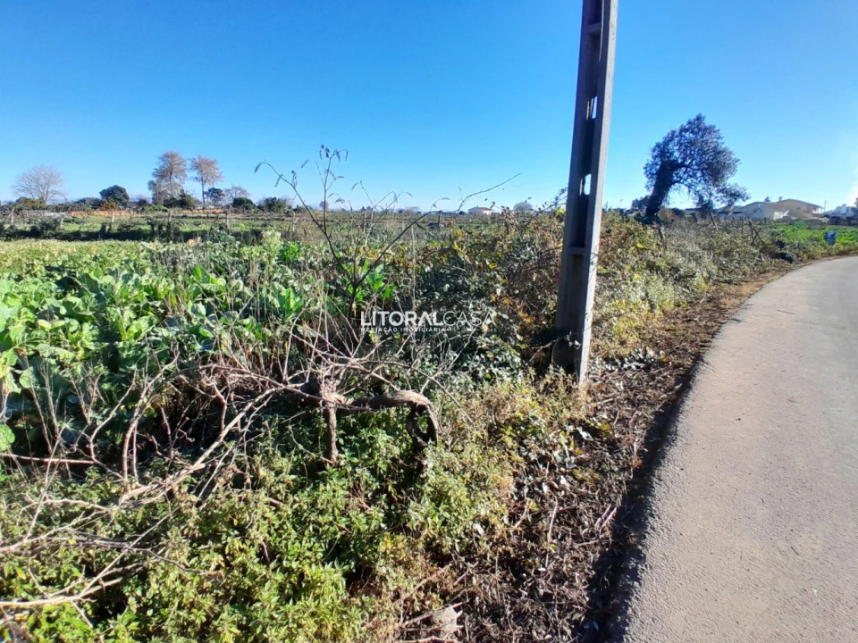 Terreno para Venda em Requeixo, Nossa Senhora de Fátima e Nariz Foto 5