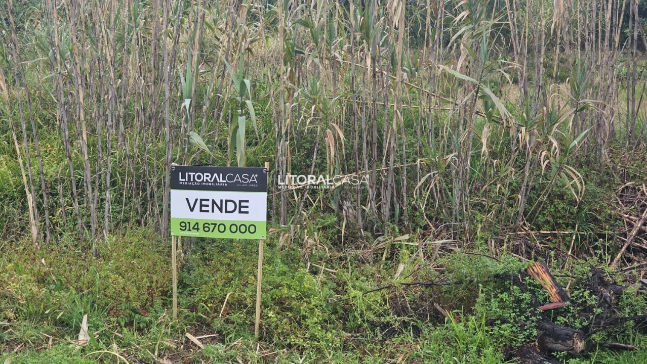 Terreno para Venda em Oliveirinha Foto 2