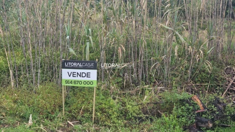 Terreno para Venda em Oliveirinha