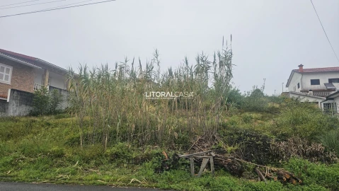 Terreno para Venda em Oliveirinha