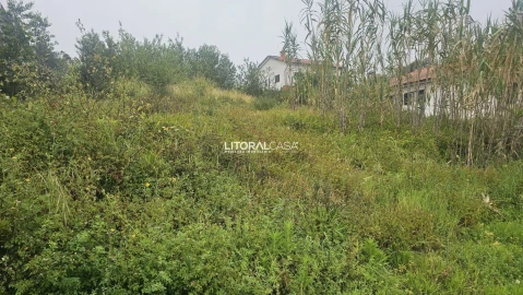 Terreno para Venda em Oliveirinha