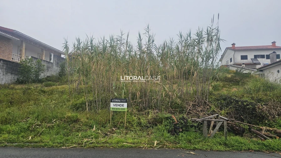 Terreno para Venda em Oliveirinha Foto 4