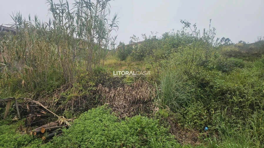 Terreno para Venda em Oliveirinha Foto 6