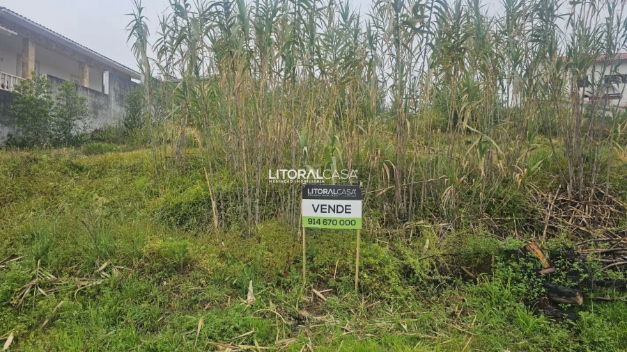 Terreno para Venda em Oliveirinha
