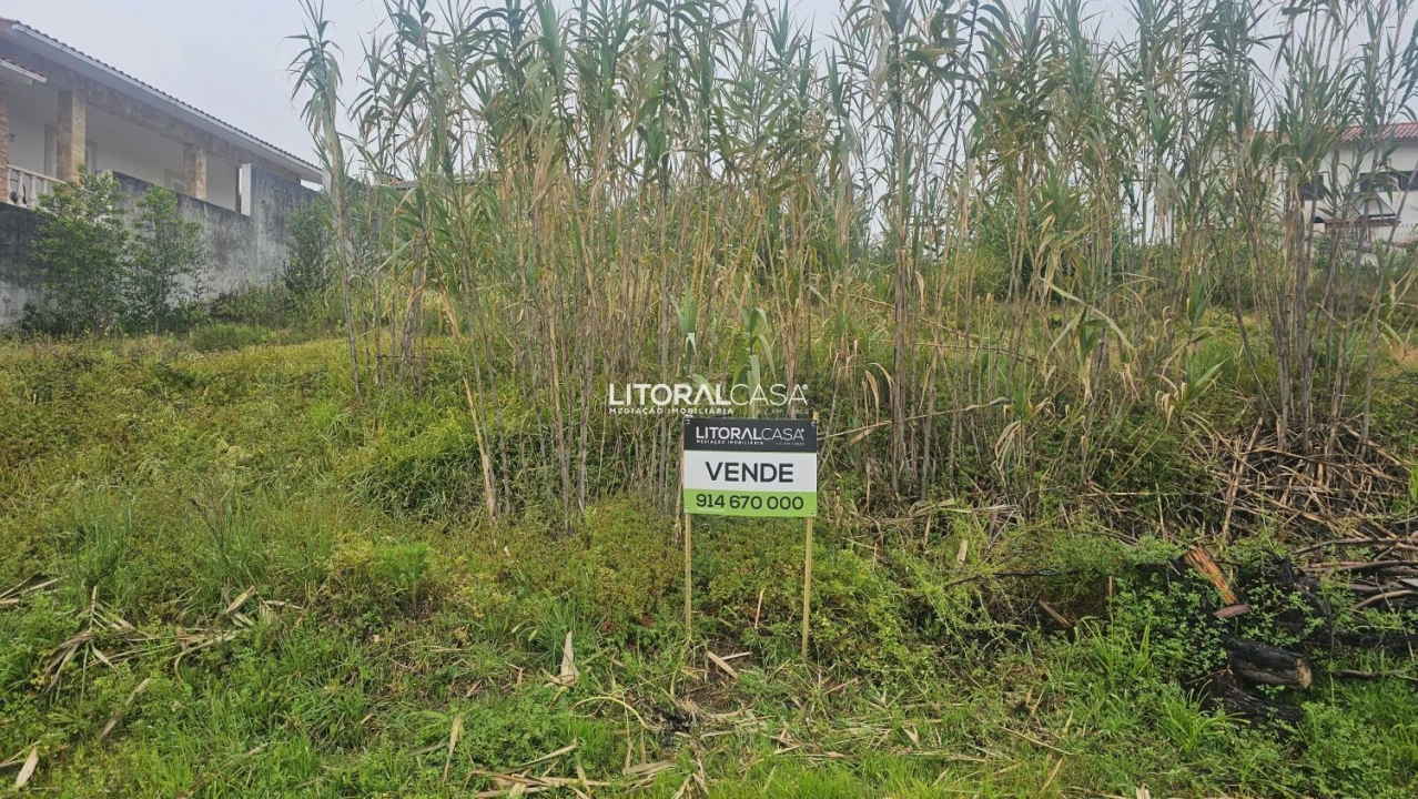 Terreno para Venda em Oliveirinha Foto 1