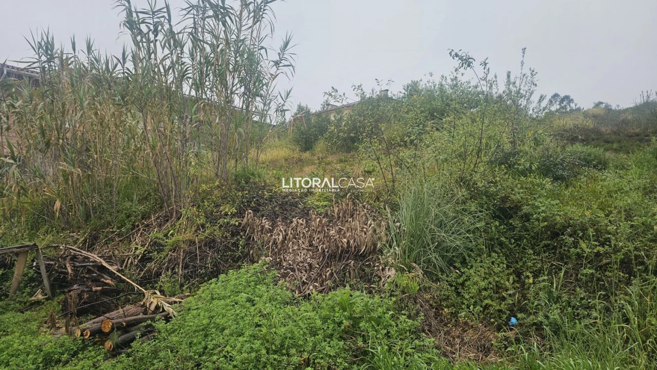Terreno para Venda em Oliveirinha Foto 6