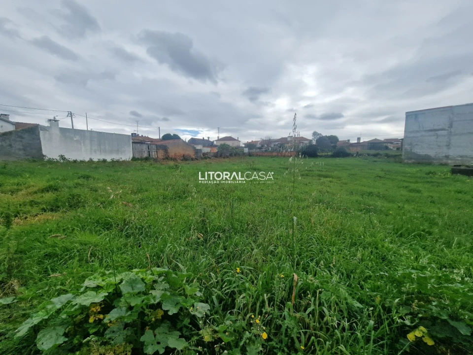 Terreno para Venda em Albergaria-A-Velha e Valmaior Foto 19