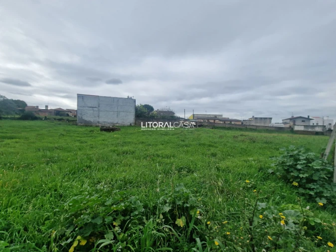 Terreno para Venda em Albergaria-A-Velha e Valmaior Foto 20