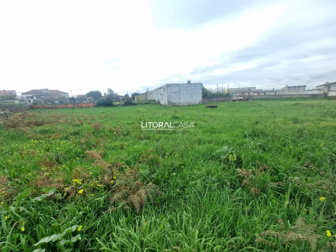 Terreno para Venda em Albergaria-A-Velha e Valmaior Foto 17