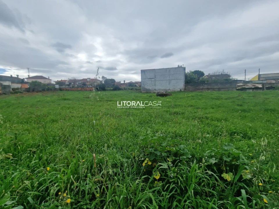 Terreno para Venda em Albergaria-A-Velha e Valmaior Foto 18