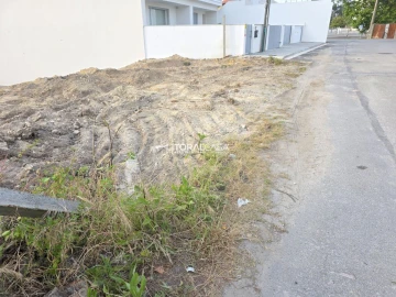 Terreno para Venda em Cacia
