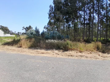 Terreno para Venda em Recardães e Espinhel