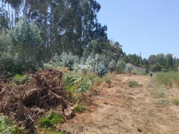 Terreno para Venda em Recardães e Espinhel
