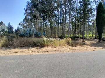 Terreno para Venda em Recardães e Espinhel