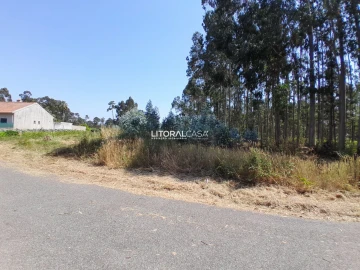 Terreno para Venda em Recardães e Espinhel