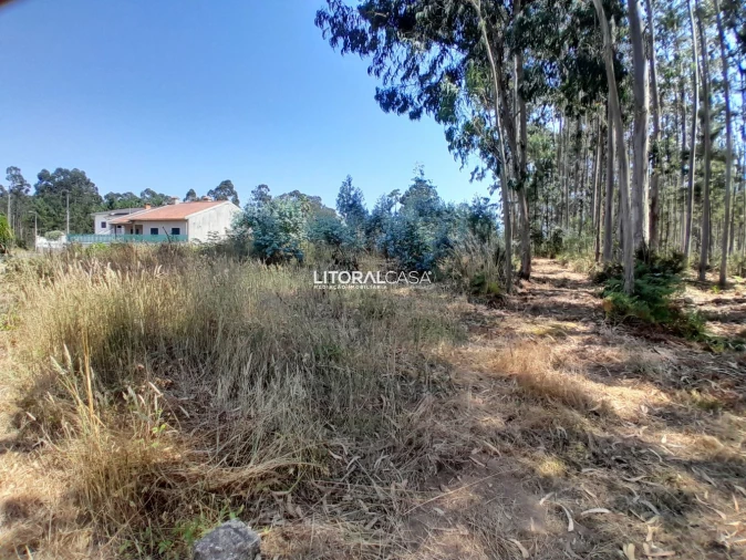 Terreno para Venda em Recardães e Espinhel Foto 5