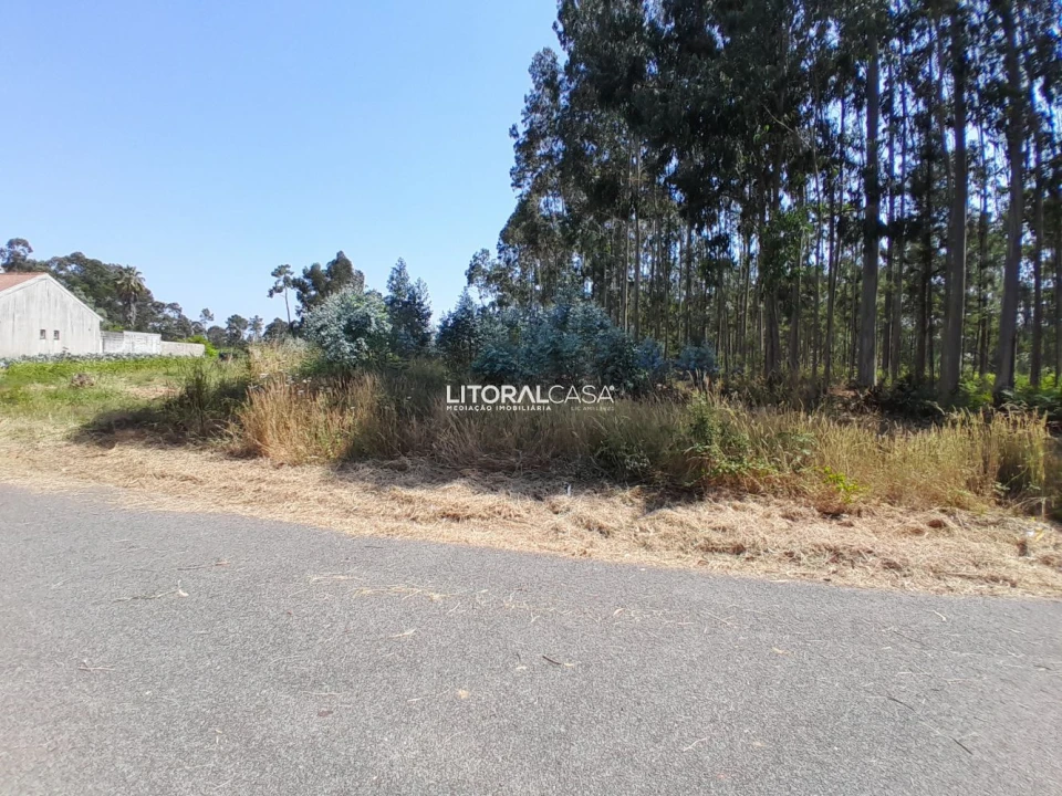 Terreno para Venda em Recardães e Espinhel Foto 1